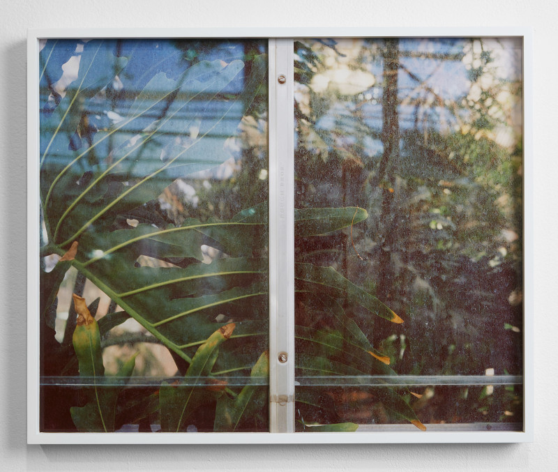 Window With Plant, Acrylic, Unique Pigment Print, Aluminum, Museum Board, 17